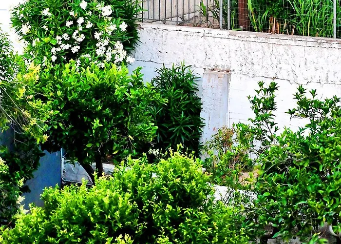 Karmik Concept 4* Afandu